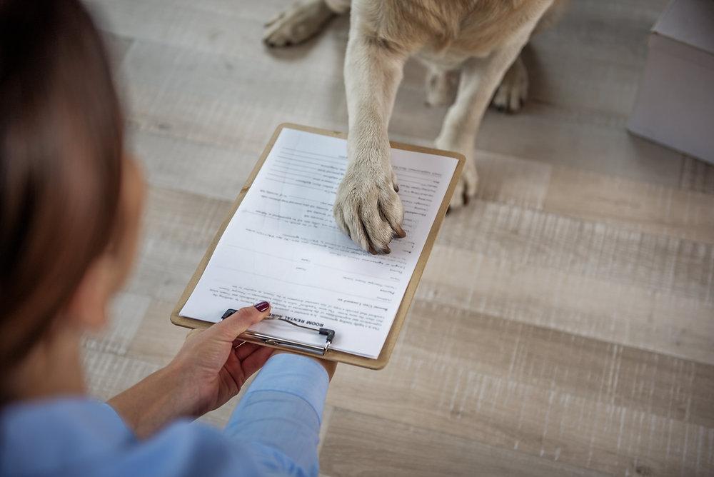 Veterinaria